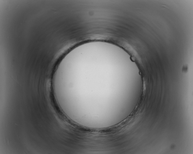 X0000102230348200807250814