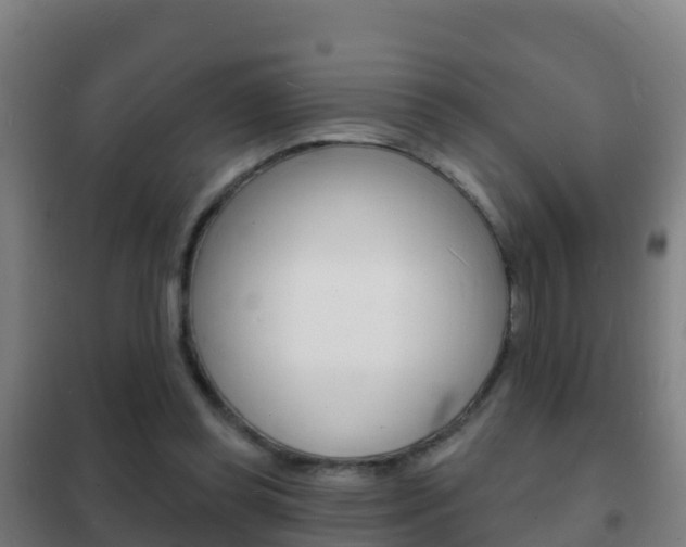 X0000102230349200807250814