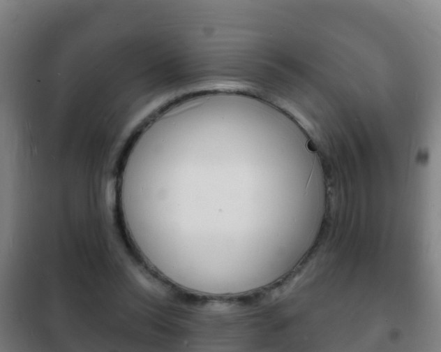 X0000102230350200807250814