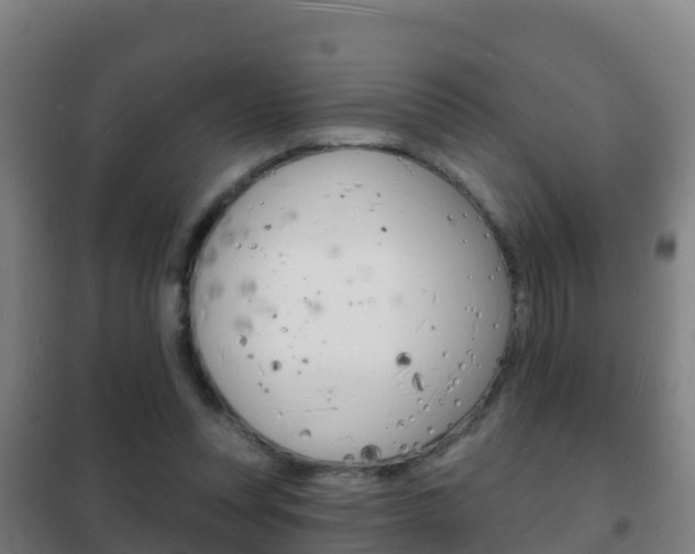X0000102230351200807250814