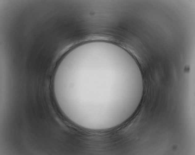 X0000102230352200807250814