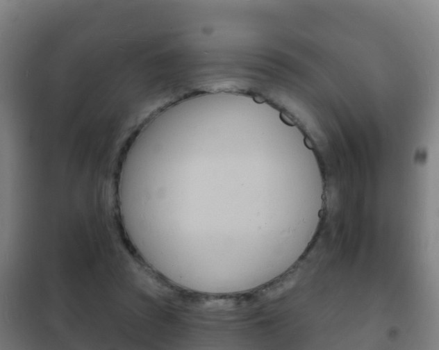 X0000102230353200807250815