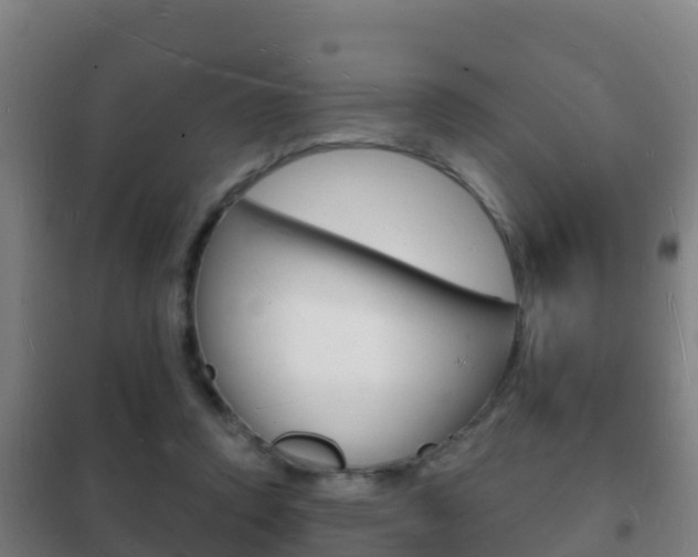 X0000102230354200807250815