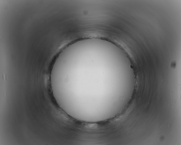 X0000102230355200807250815
