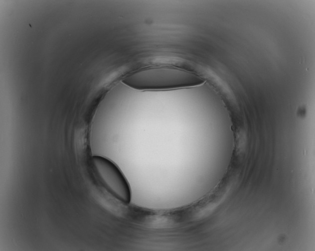 X0000102230356200807250815