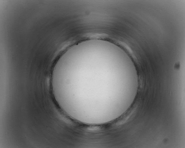 X0000102230357200807250815