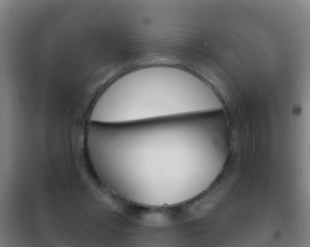 X0000102230358200807250815