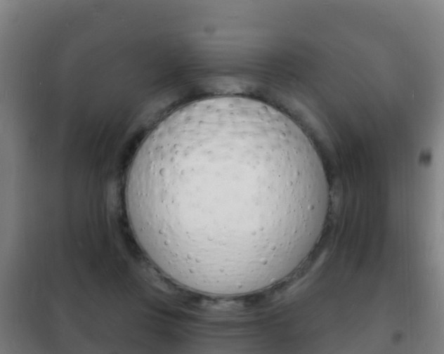 X0000102230359200807250815