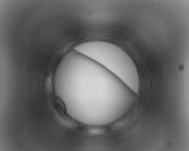 X0000102230360200807250815