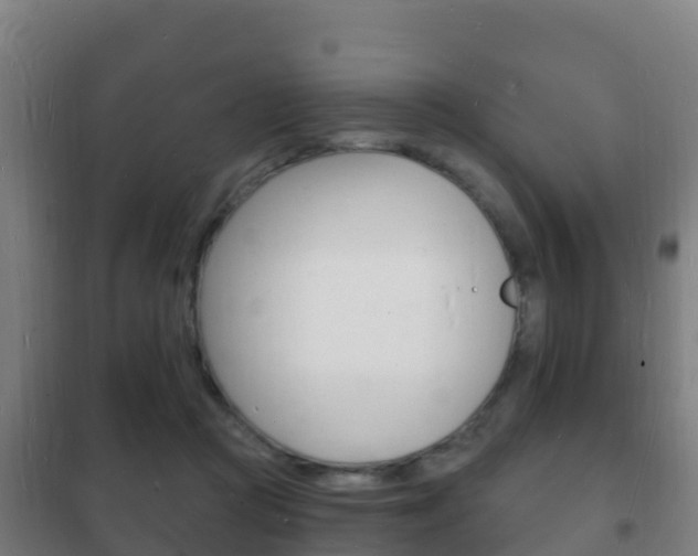 X0000102230361200807250815