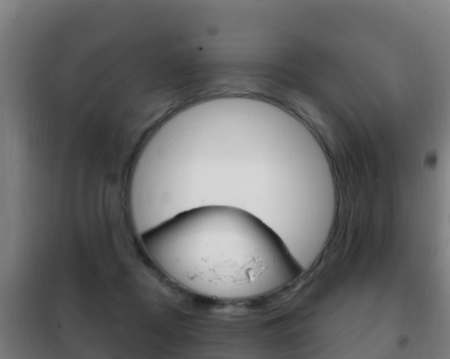 X0000102230362200807250815