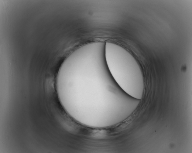X0000102230363200807250815