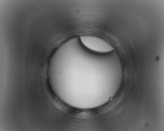 X0000102230364200807250815