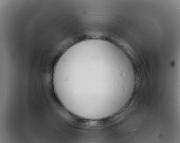 X0000102230365200807250815