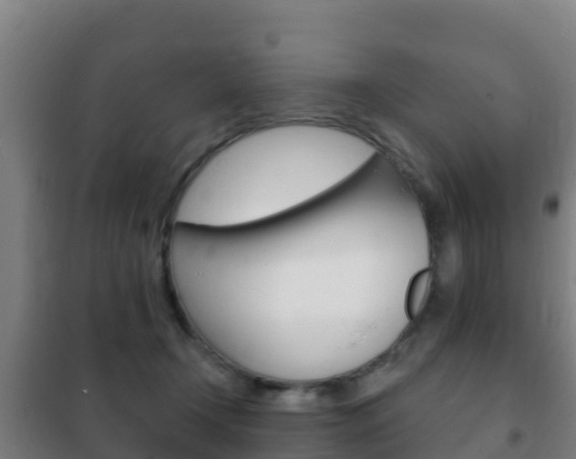 X0000102230366200807250815