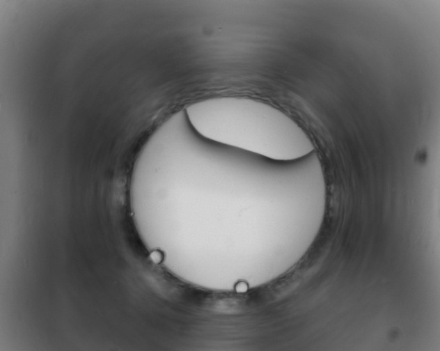 X0000102230368200807250815