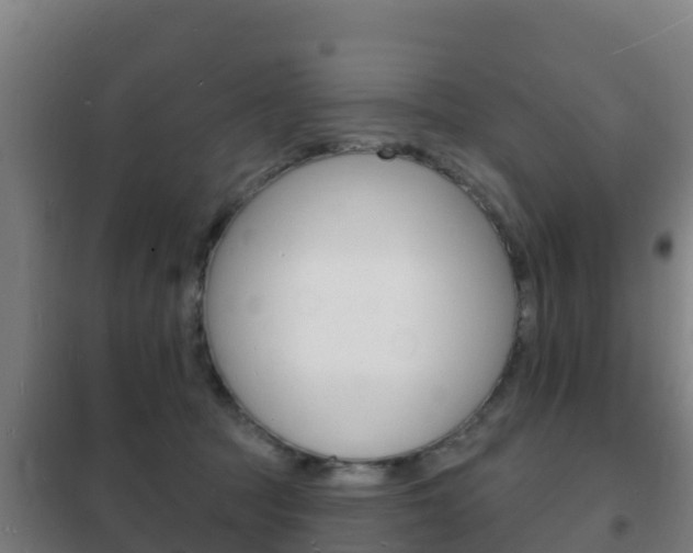 X0000102230369200807250815