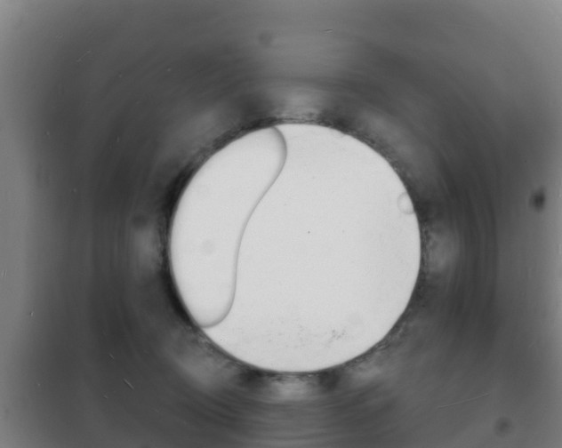 X0000102230370200807250815