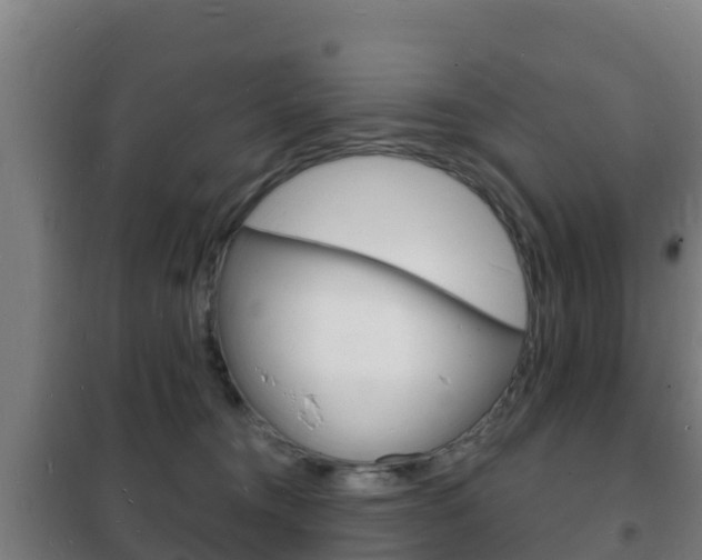 X0000102230372200807250815