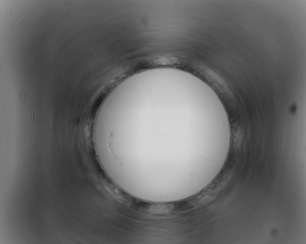 X0000102230373200807250815