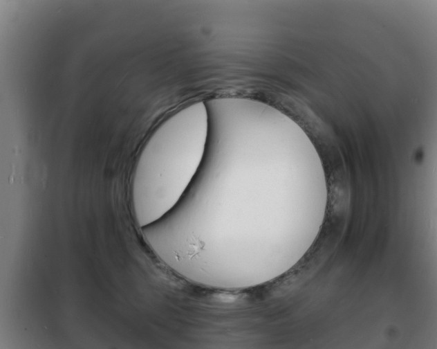 X0000102230375200807250815