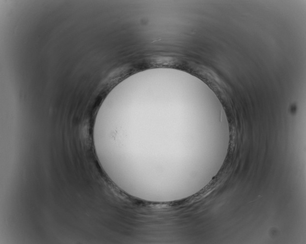 X0000102230377200807250815