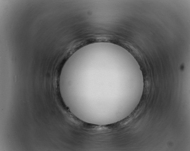 X0000102230379200807250815