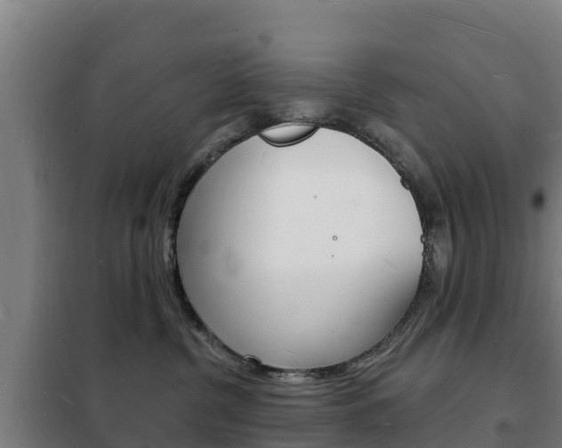 X0000102230380200807250815
