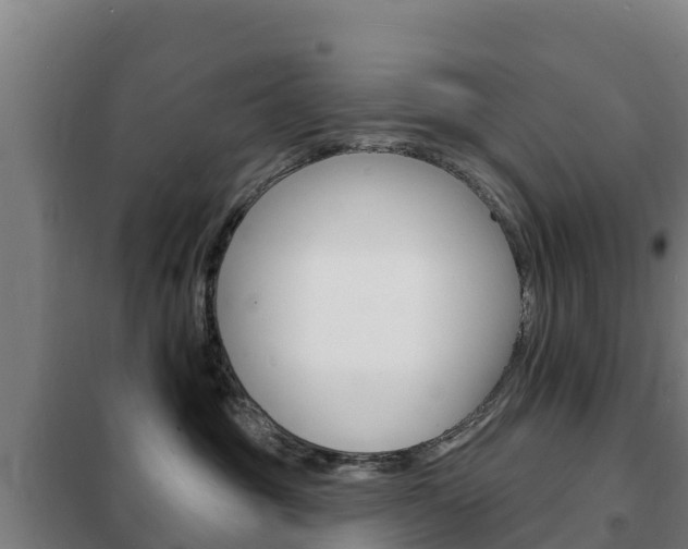 X0000102230381200807250815