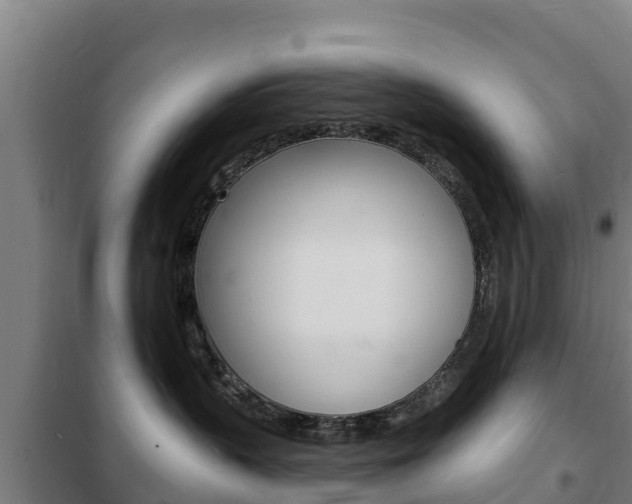X0000102230383200807250815