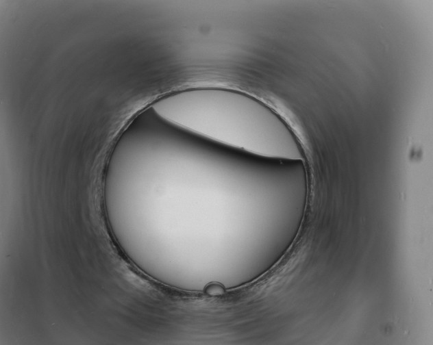 X0000102230385200807250814