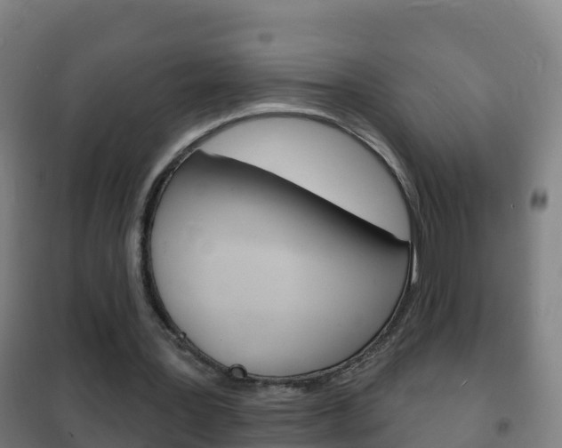 X0000102230387200807250814