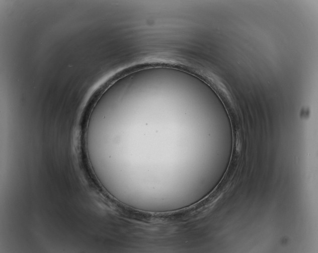 X0000102230388200807250814