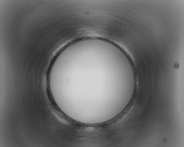 X0000102230390200807250814