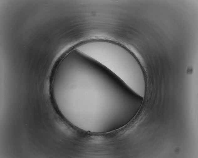 X0000102230391200807250814