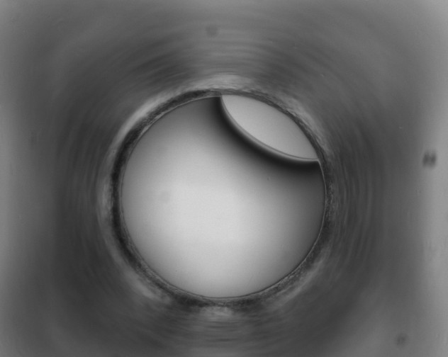 X0000102230392200807250814