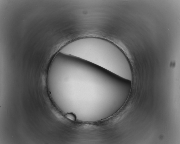 X0000102230393200807250814