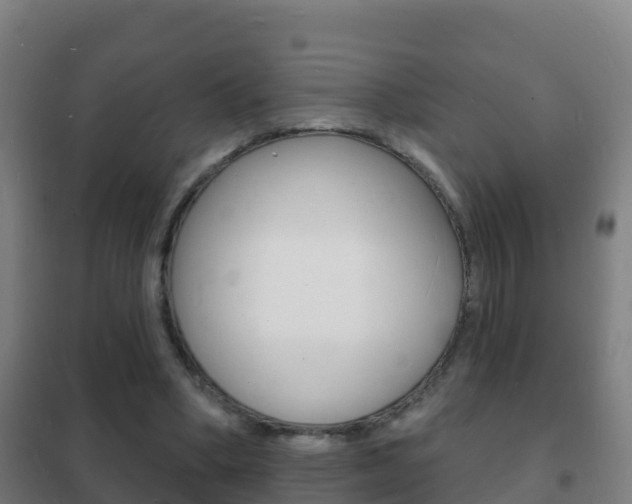 X0000102230394200807250814