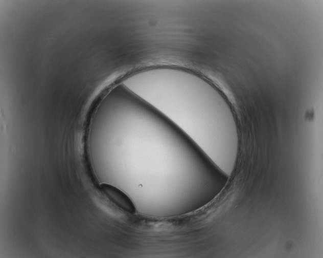 X0000102230395200807250814