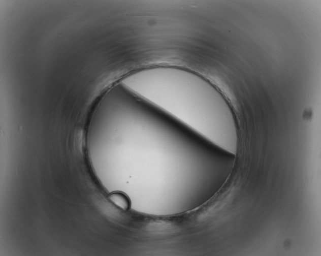 X0000102230397200807250814