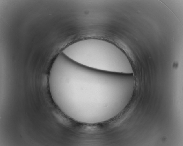 X0000102230401200807250814