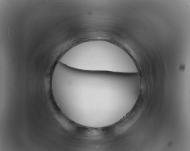 X0000102230402200807250814