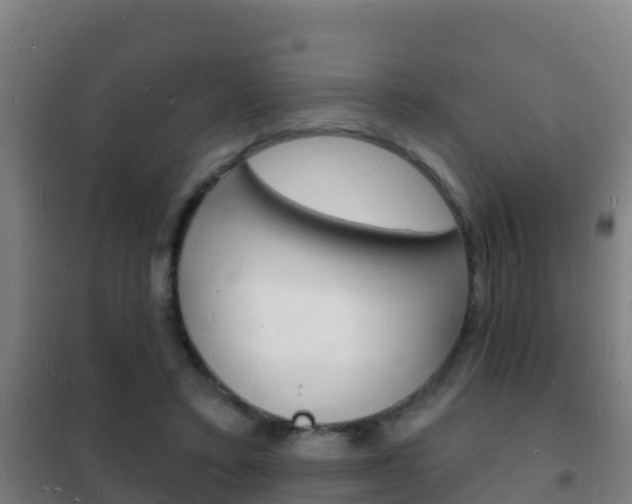 X0000102230403200807250814