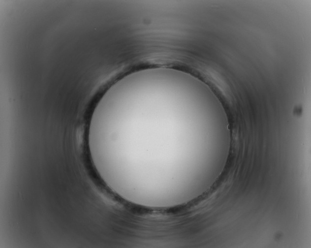 X0000102230404200807250814