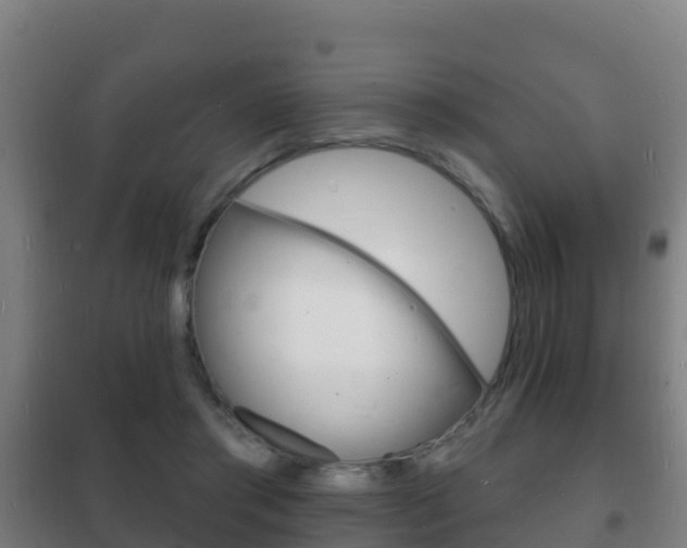 X0000102230405200807250814