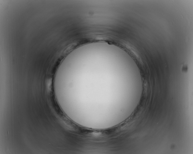 X0000102230406200807250814