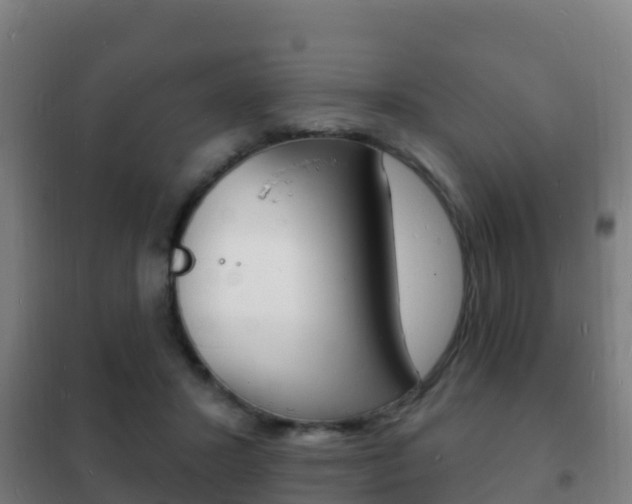 X0000102230407200807250814