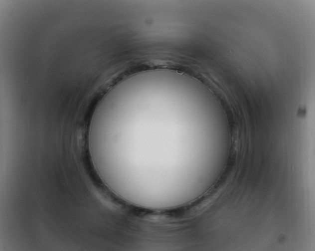 X0000102230408200807250814