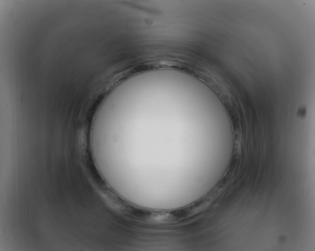 X0000102230410200807250814