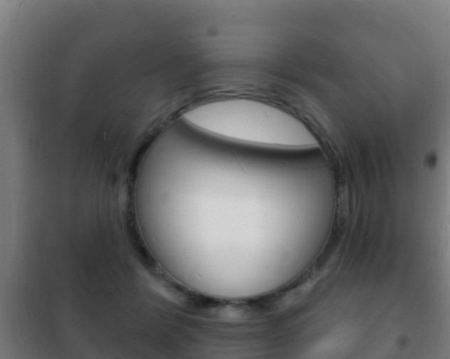 X0000102230412200807250814